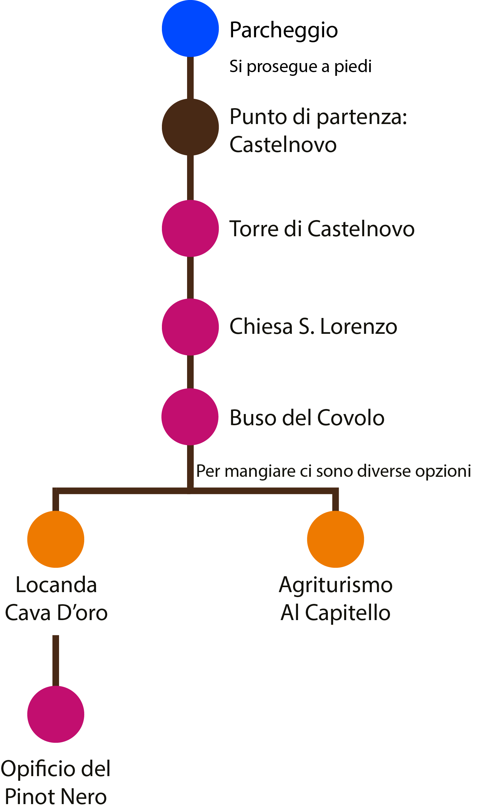 diagramma-degustazione